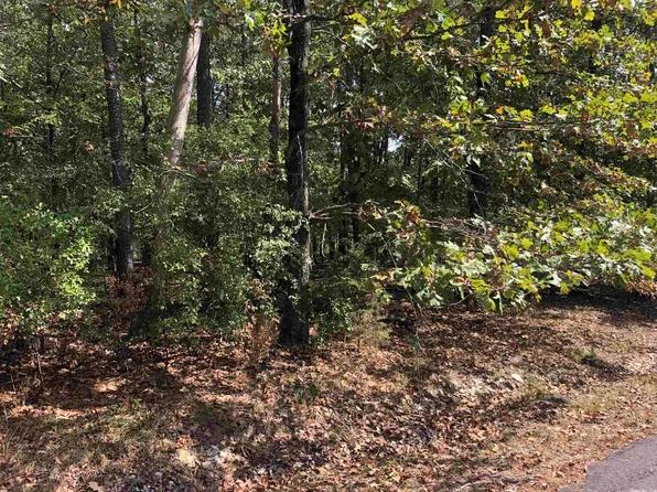 8 Loyola Way, Hot Springs Village, AR 71909