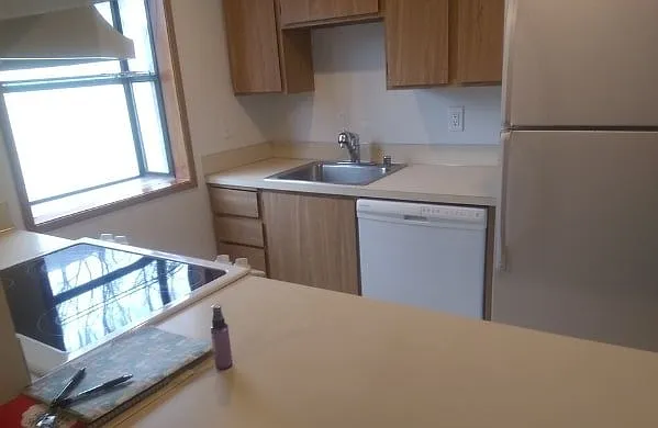 424 Healy Ave S #424 — Photo 6