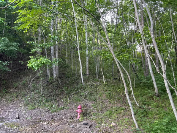 0 Waterwalk Ct, Smithville, TN 37166