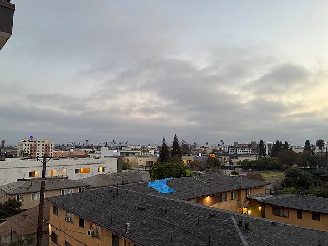 955 S Fedora Street — Photo 17