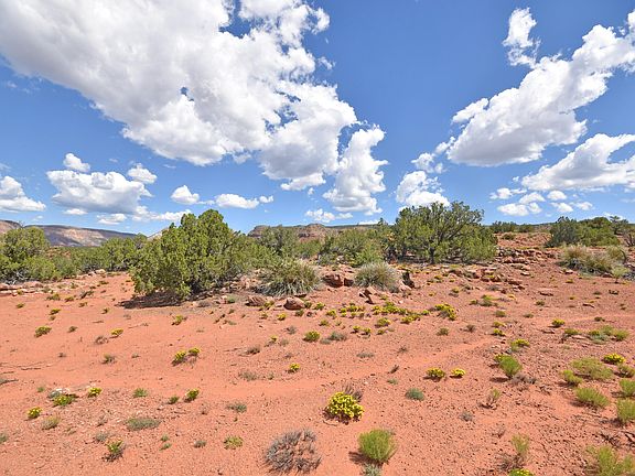 5th image of 11 Camino Amarillo