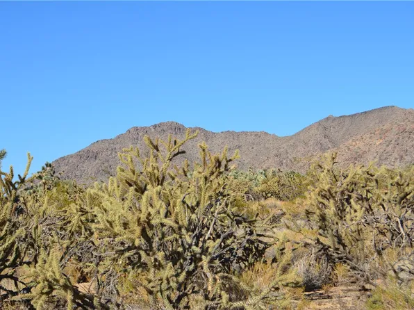 11872 Suzette Rd, Yucca, AZ 86438