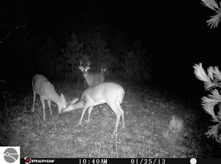 16803 Vondra Rd, Thompsonville, MI 49683