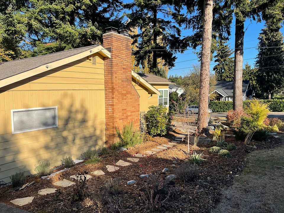 side of house (garden in winter)