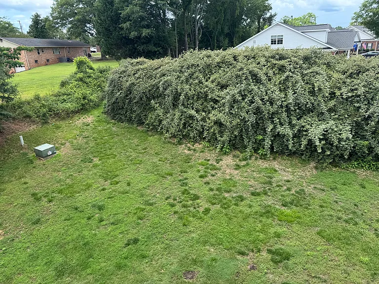 Green belt behind building