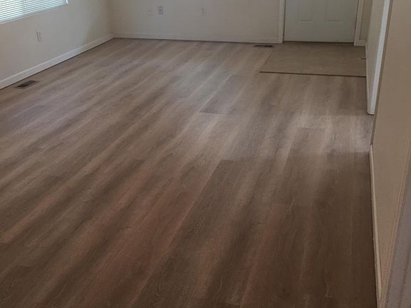 Front door and living area - new flooring
