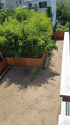 Rented by H L Dynasty Real Estate Corp