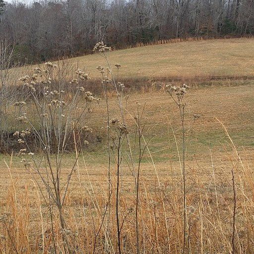 2nd image of 0 SW Sabre Park Dr