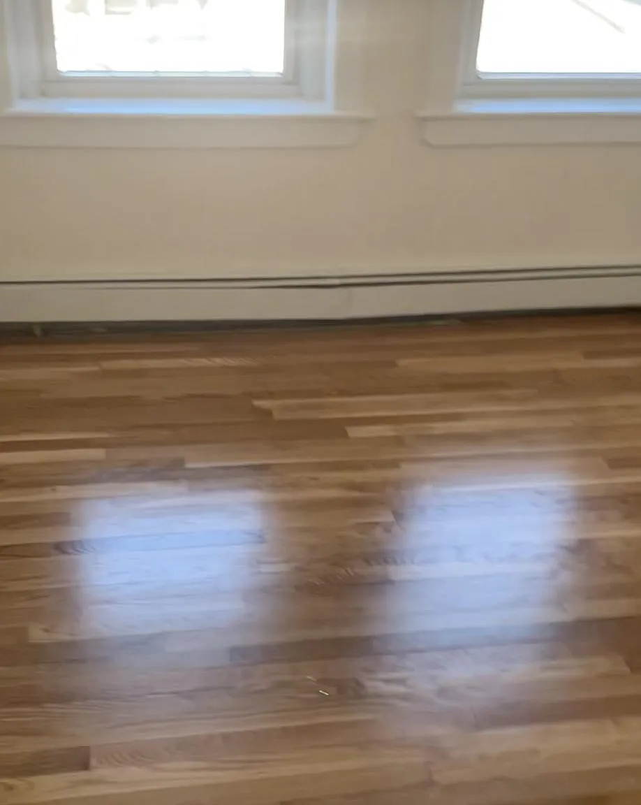 Studio, $1,795 — Photo 3