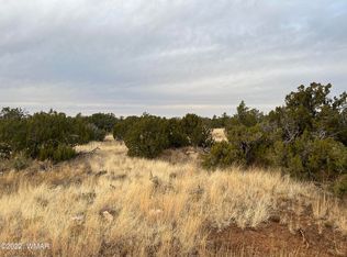 89 County Road 8056, Concho, AZ 85924