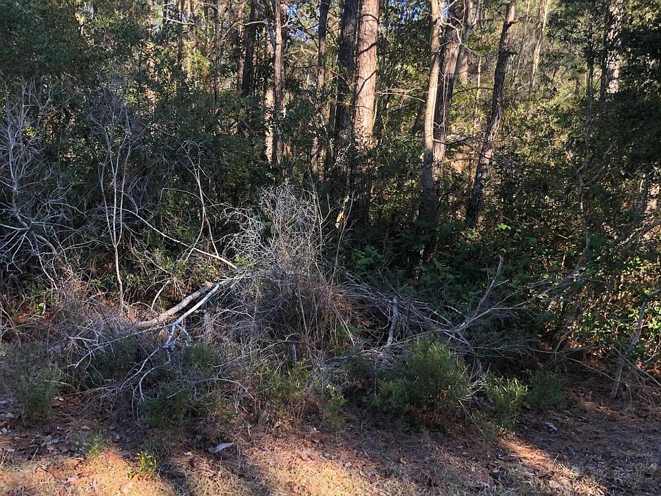 2nd image of 0000 Hwy 210/ Empie N Sidbury Rd