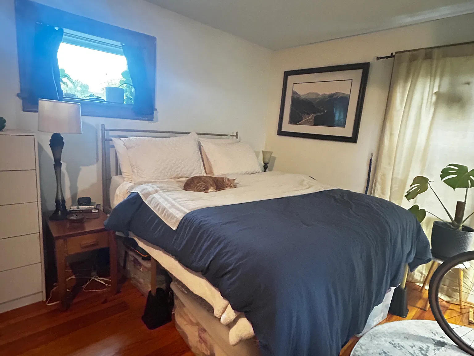 1 bed, 700 sqft, $975 — Photo 4