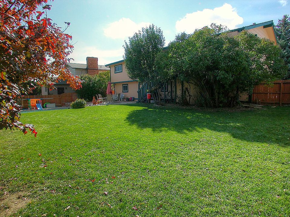 back yard