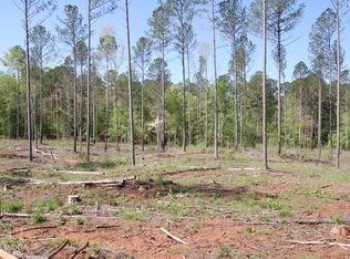 0 State Highway 87 TRACT 3, Forsyth, GA 31029