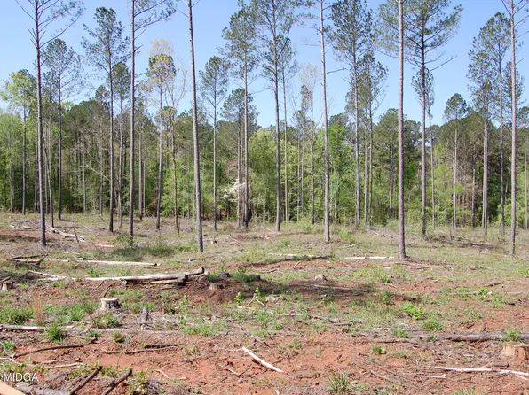 0 State Highway 87 Tract 3, Forsyth, GA 31029