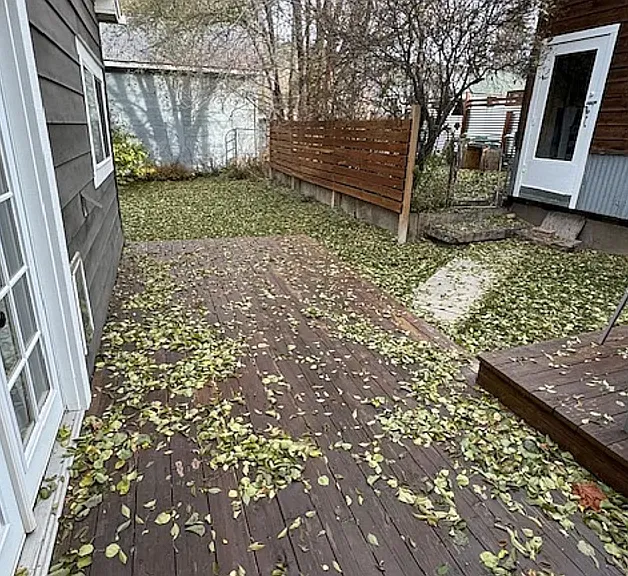 back yard