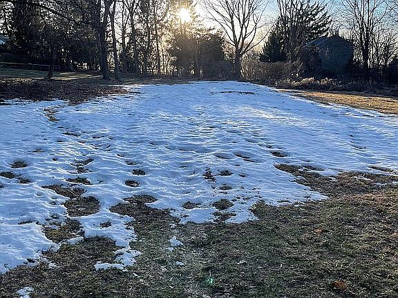 4th image of Palmer Ln