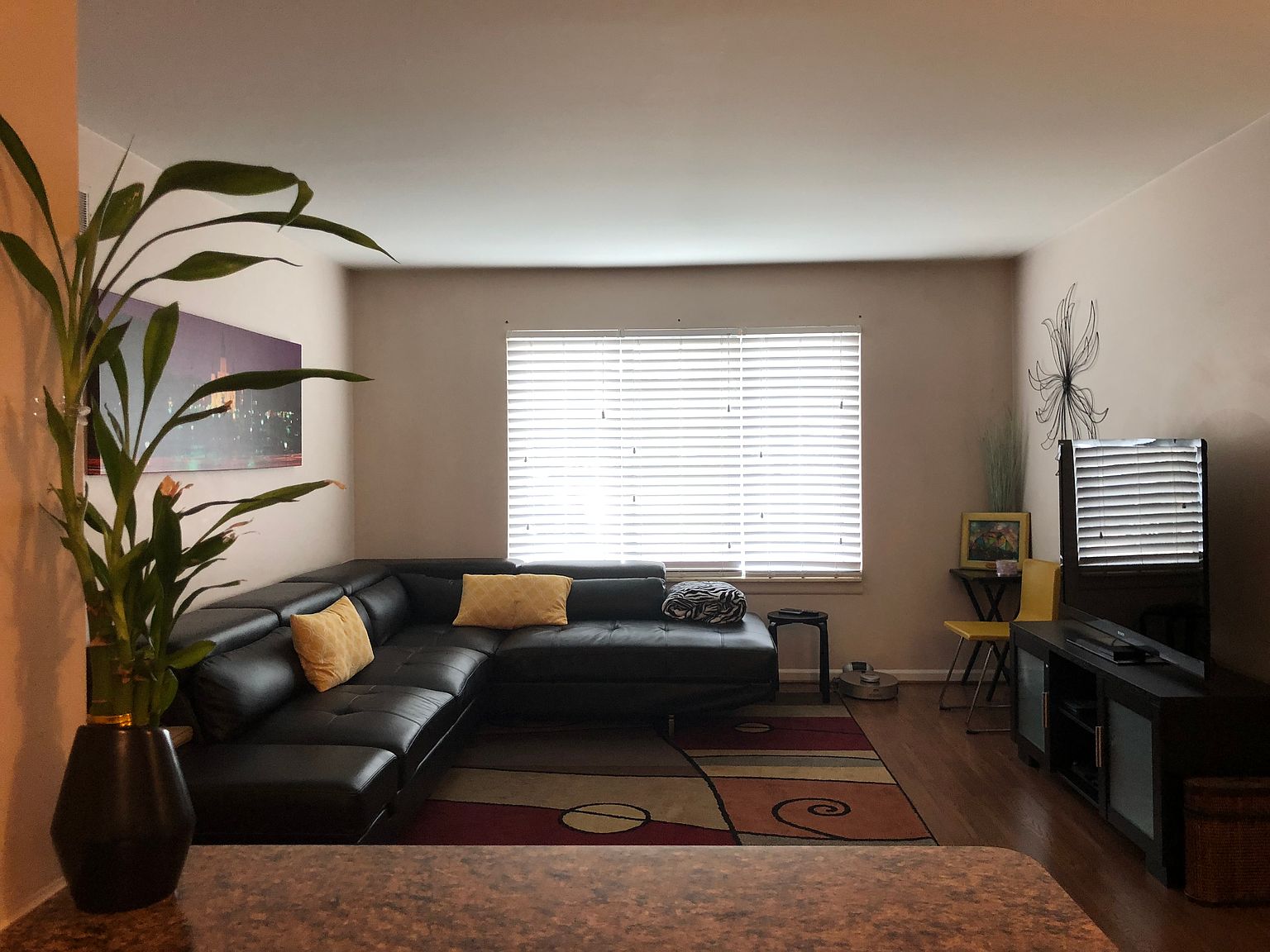 1150 Catalpa Dr APT 101, Berkley, MI 48072 Zillow