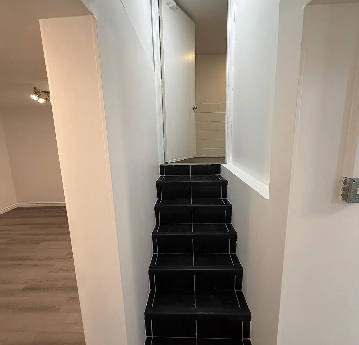 2 bed, $1,650 — Photo 3