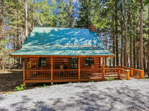 79 Pines Dr, Davis, WV 26260