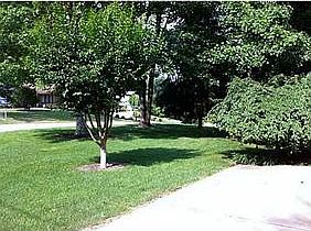 3rd image of 5423 Imperial Pl