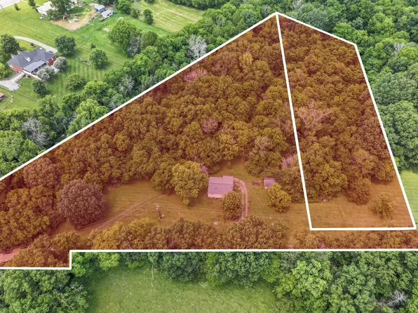 7723 Almaville Rd, Arrington, TN 37014