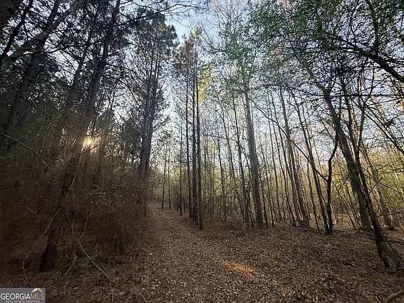 2nd image of 8 Hollis Norman Rd