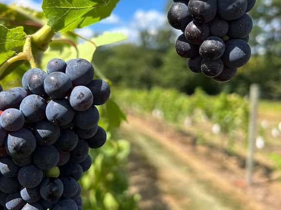 3rd image of 1212 Burger Hollow Rd