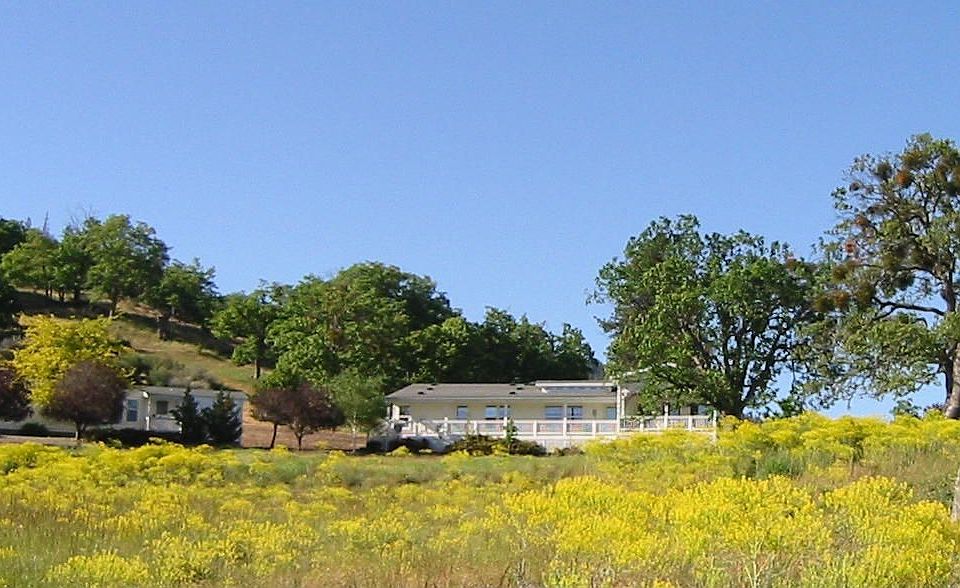 View north