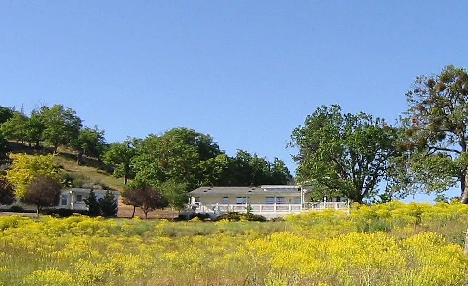 View north