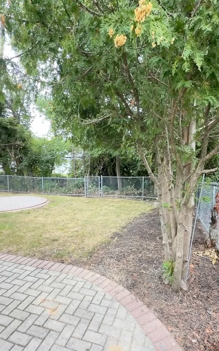 1 bed, 1904 sqft, $1,300 — Photo 4
