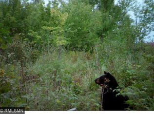 71181 Duxbury Rd, Sandstone, MN 55072