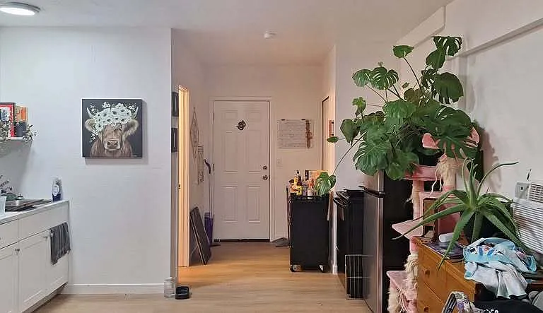 Tera Dr — Photo 1