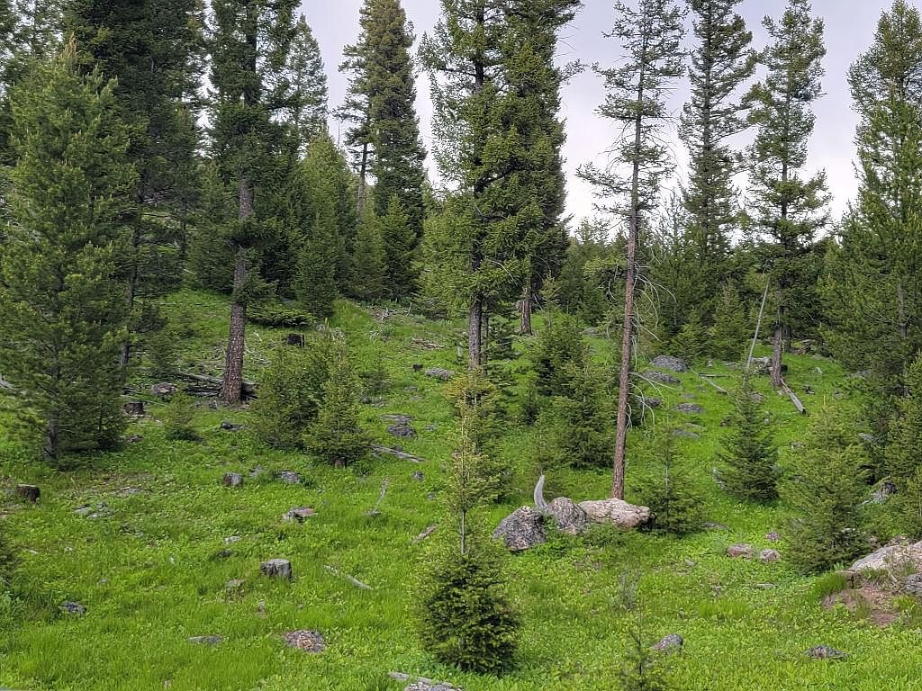 LOT 12 Slate Rd, Helmville, MT 59843 Zillow