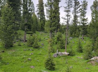 LOT 12 Slate Rd, Helmville, MT 59843