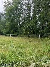 0 Durst Dr photo 1