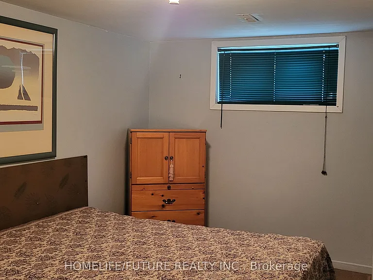 107 Birkdale Rd #BASEMENT — Photo 6