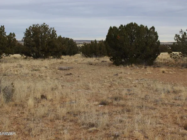2131 Pinion Road #015D, Heber, AZ 85928
