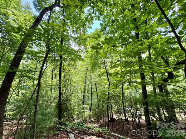 35 Acres Bear Track Ln Lot 23, Lenoir, NC 28645