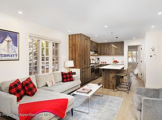 631 S Galena St #11, Aspen, CO 81611