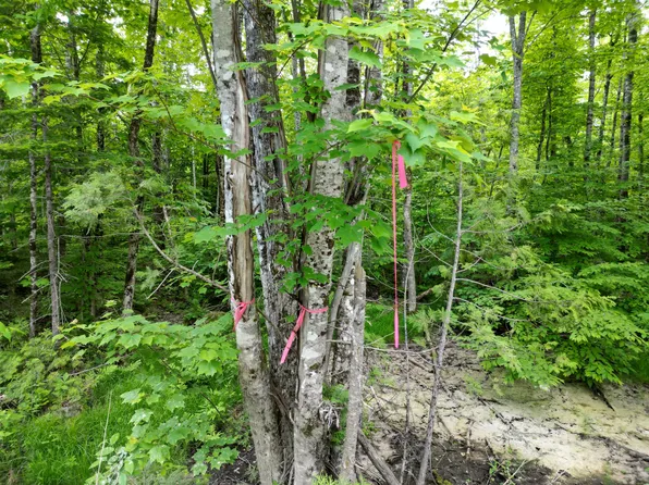 Lot 1 Hale Farm Road, Lee, ME 04455