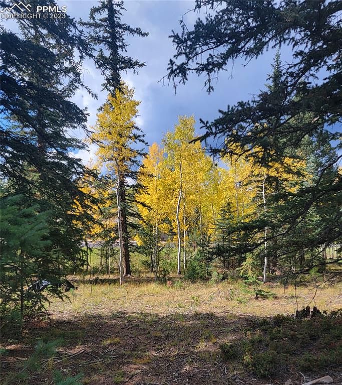 3315 Regent Dr, Woodland Park, CO 80863 MLS 8470047 Zillow