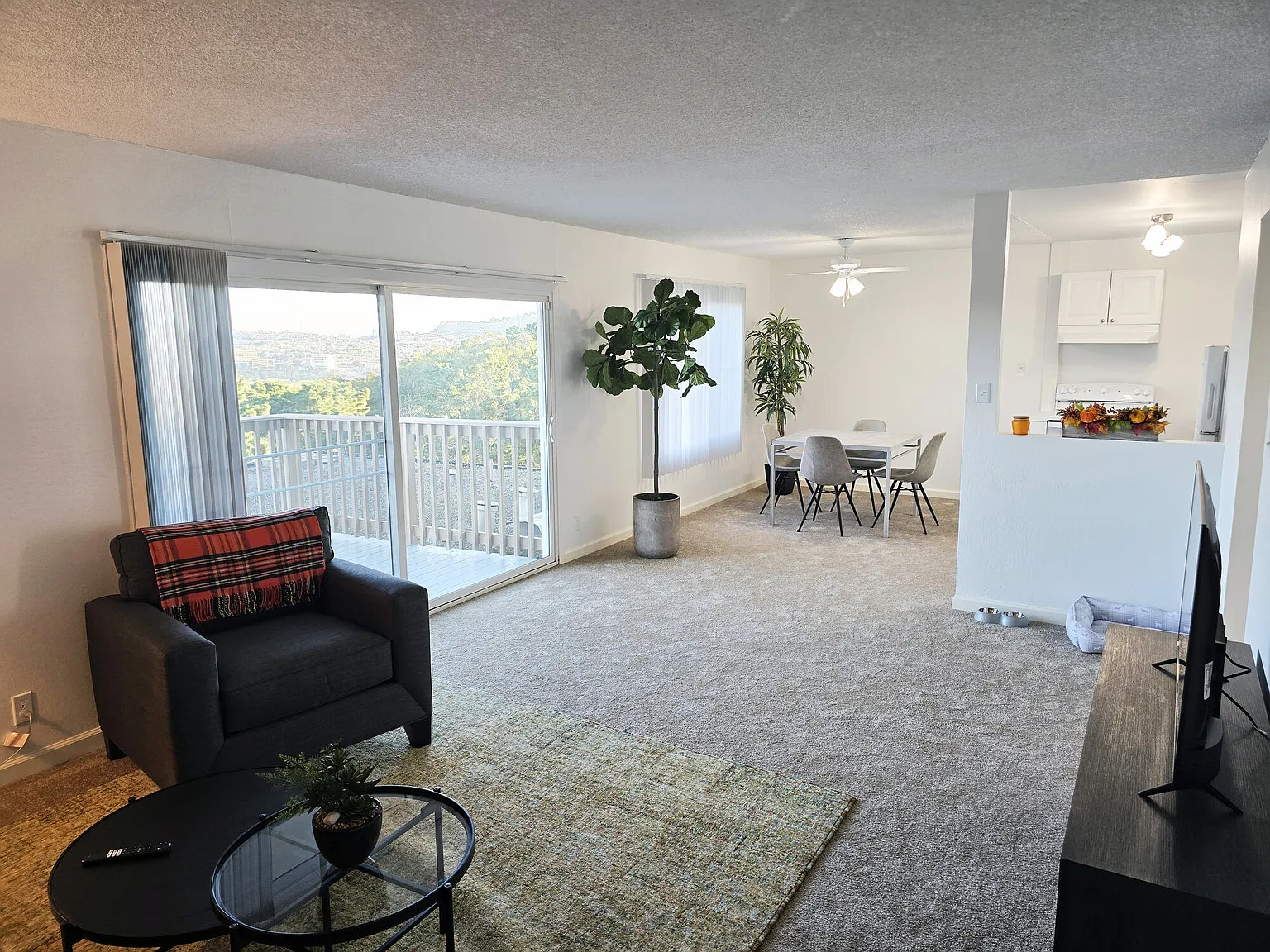 Terrace View — Photo 4