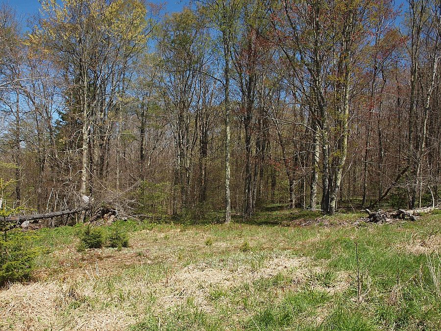 1st image of 000 Allegheny Mtn #Sgr804