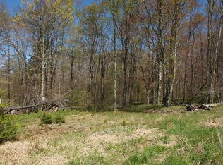 000 Allegheny Mtn #SGR804, Randolph County, WV 26807