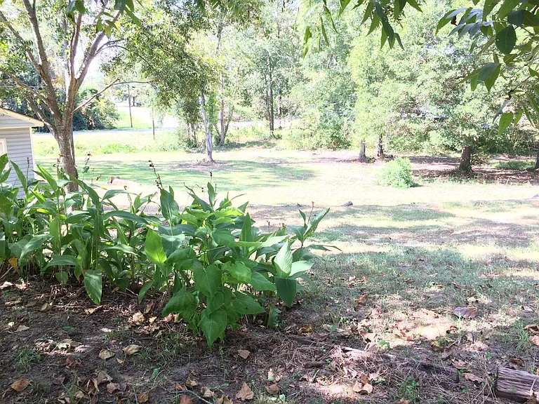 From Back Corner of Lot