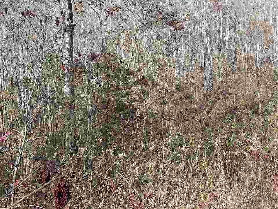 2nd image of Tbd Whitaker Rd