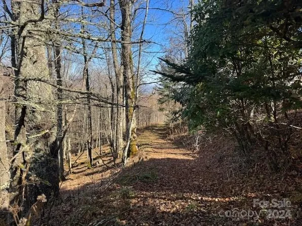 962 Lookout Dr, Mars Hill, NC 28754