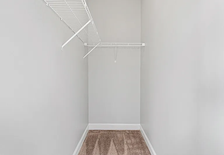 101 Coriander Ln — Photo 18