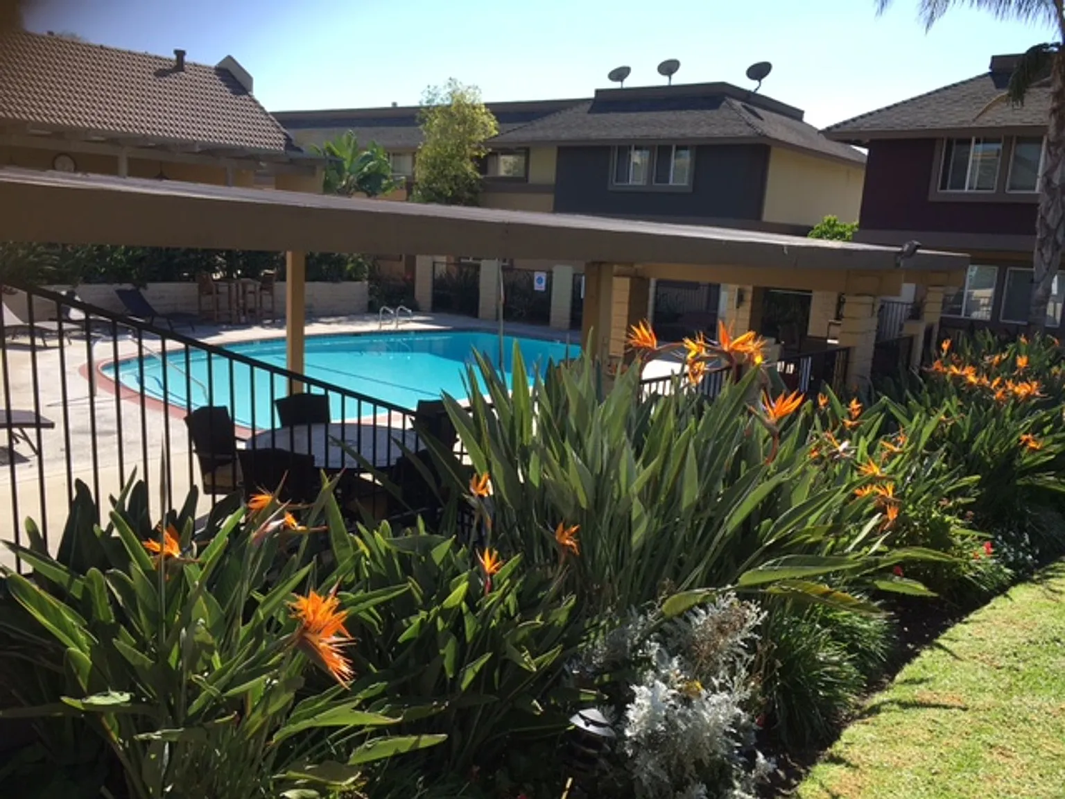 Avalon Townhomes OPEN HOUSE SATURDAY 11/15/2025 — Photo 3